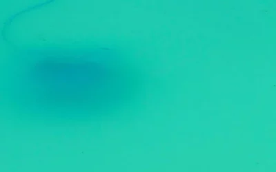 Les bons gestes pour éviter de voir verdir son eau de piscine