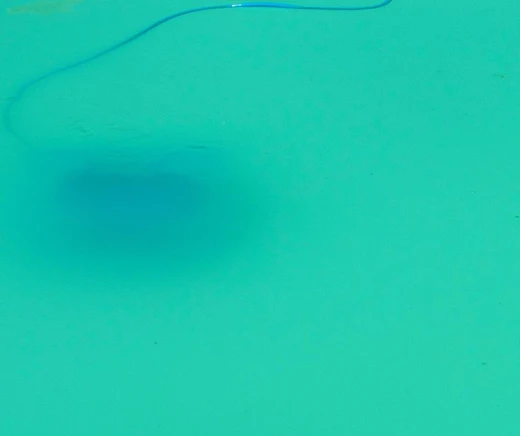 Comment éviter l'eau verte de piscine