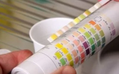 Comment Analyser l’Eau de ma Piscine ?