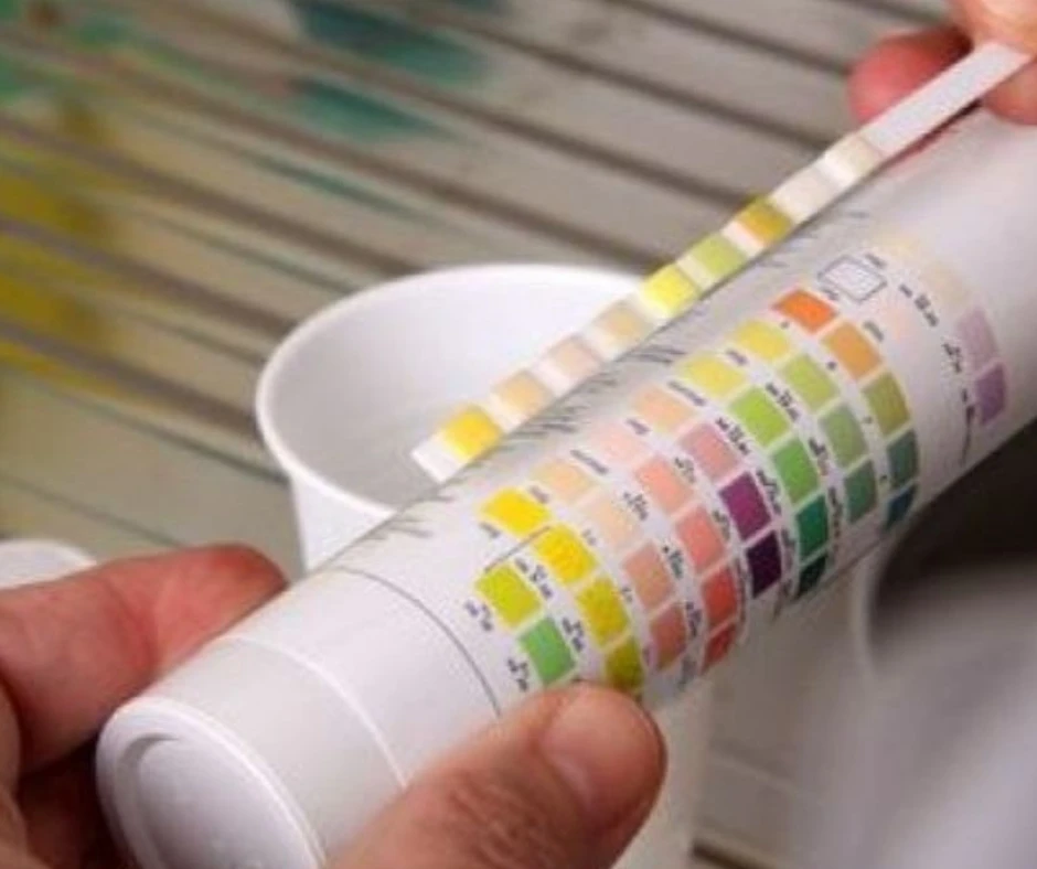 Comment Analyser l’Eau de ma Piscine Comment Analyser l'Eau de ma Piscine