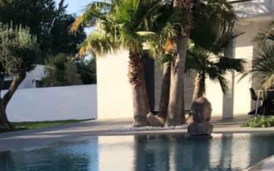 Algue Moutarde Piscine, Comment les Éliminer ?