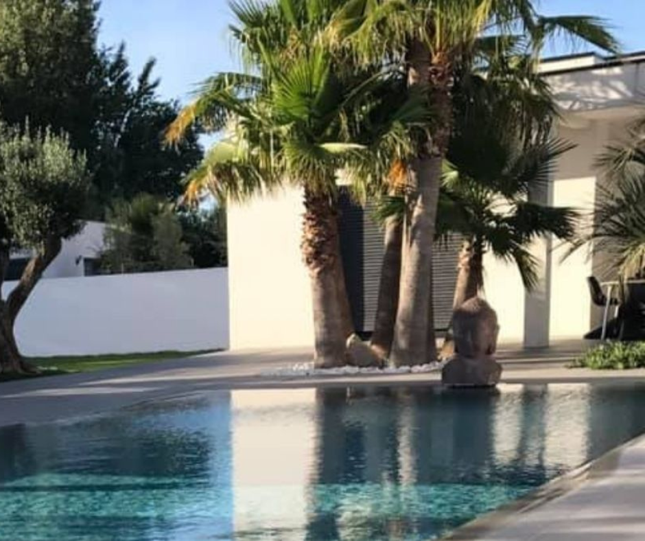 Comment Éliminer les Algues Moutarde dans ma Piscine Comment Éliminer les Algues Moutarde dans ma Piscine