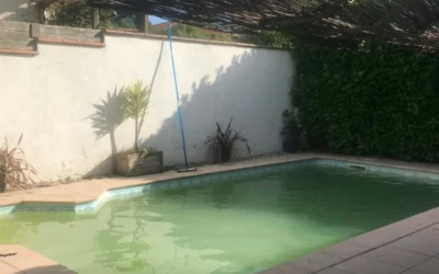 Comment rattraper une piscine verte ?