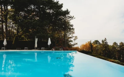 Éloigner les moustiques de votre Piscine : Conseils Pratiques et Produits Naturels !