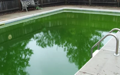 Eau verte piscine : comment retrouver une eau limpide en 48h