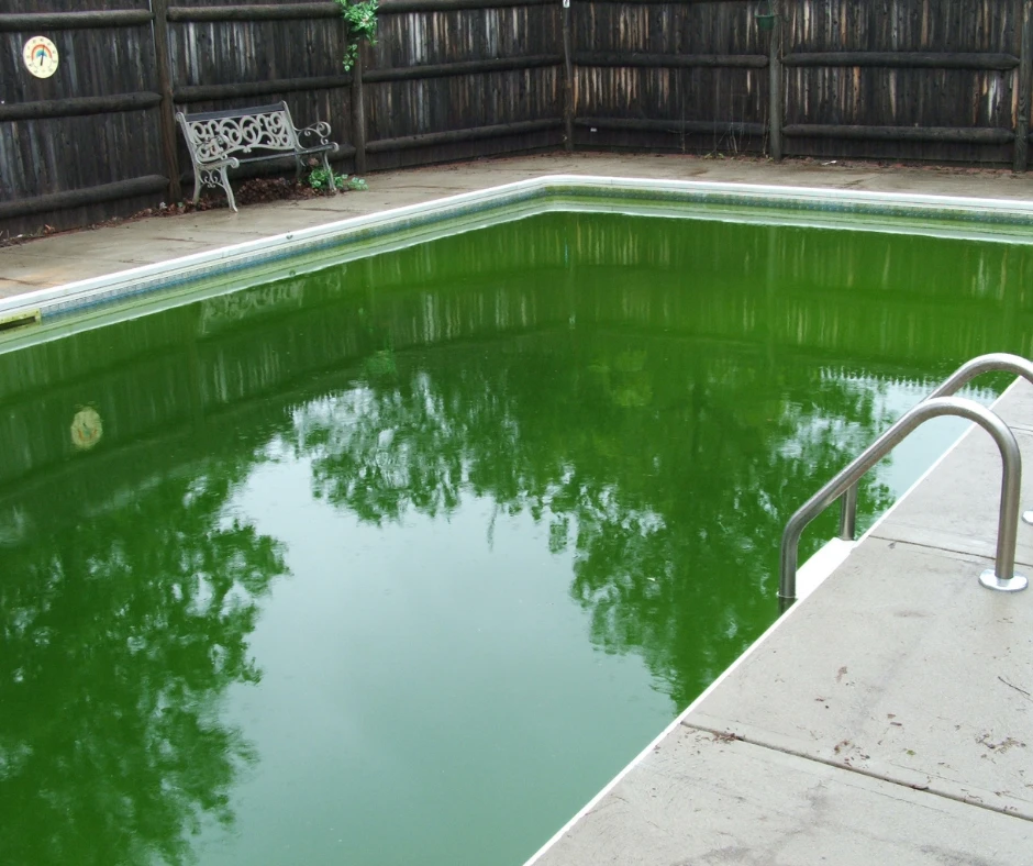 Eau verte piscine – que dois-je faire Eau verte piscine - que dois-je faire