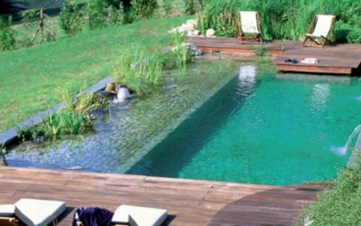 Les différents types de piscines naturelles et leurs avantages