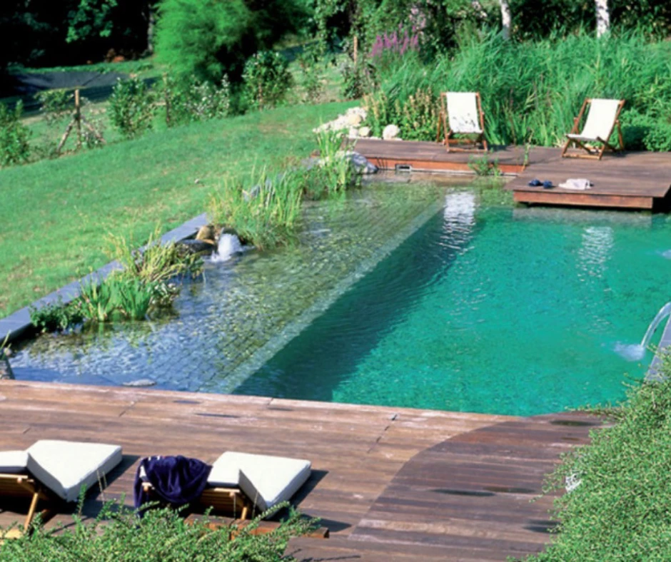 Piscine naturelle