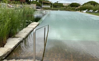 Avantages d’une Piscine Écologique : Une Alternative Naturelle à la Baignade Traditionnelle