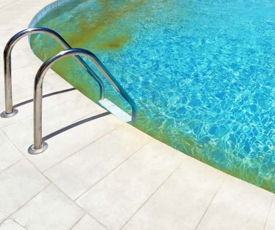 comment éliminer des algues roses piscine