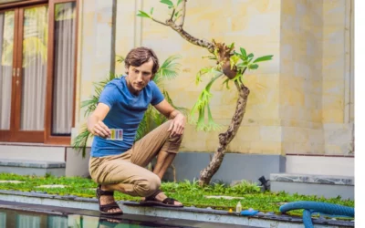 pH Piscine, Comment le Ramener à la Bonne Valeur ?