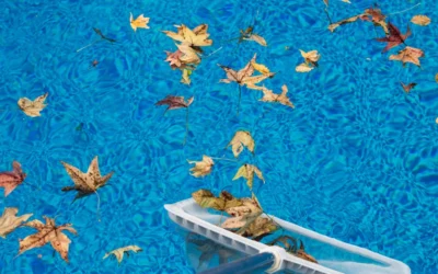 Entretien de piscine en automne : les étapes clés pour préserver votre piscine tout l’hiver