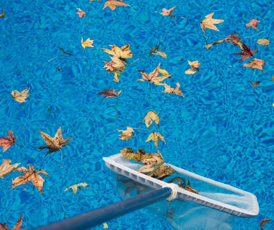 entretien piscine automne