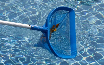 Epuisettes de piscine : les différents modèles et comment choisir celle qui convient le mieux