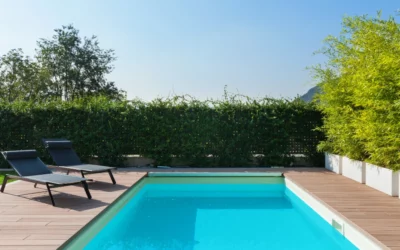 Piscine au sel, Avantages, inconvénients et fonctionnement