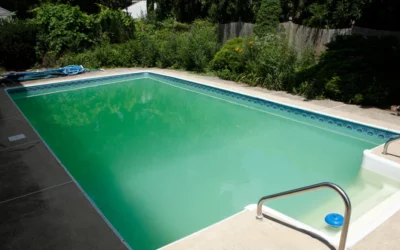 Algues piscine, cause et solution