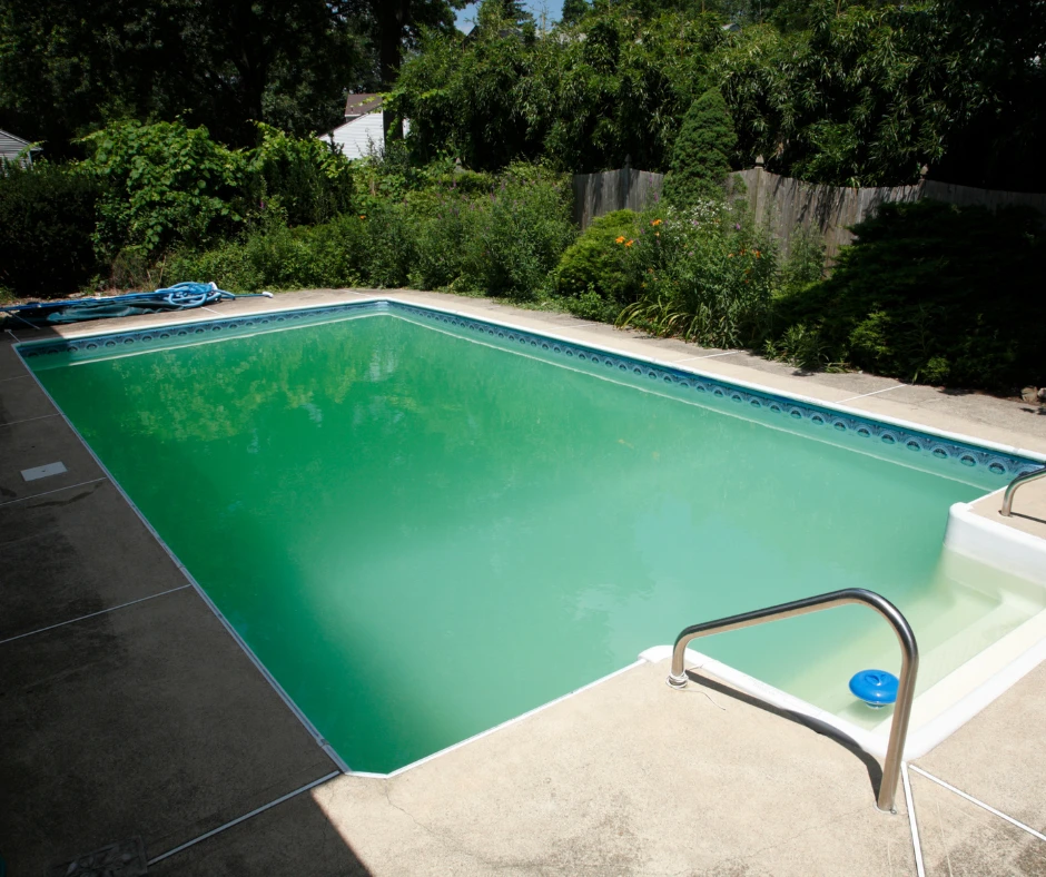 rattraper algue piscine