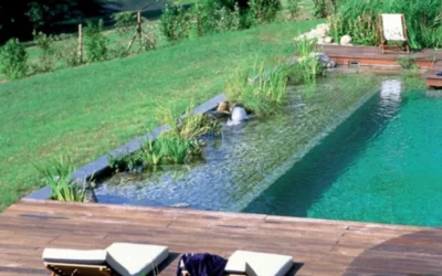 Impact écologique d’une piscine individuelle, comment la réduire ?