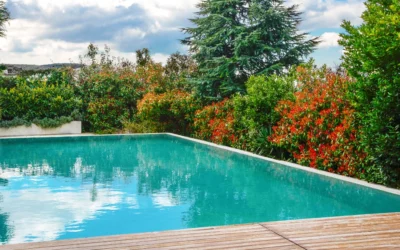 Comment moderniser et améliorer votre piscine vieillissante pour plus de confort et d’esthétisme