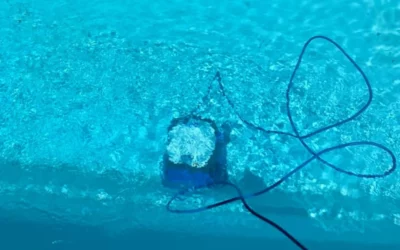 Quel robot de piscine à prix abordable choisir ?