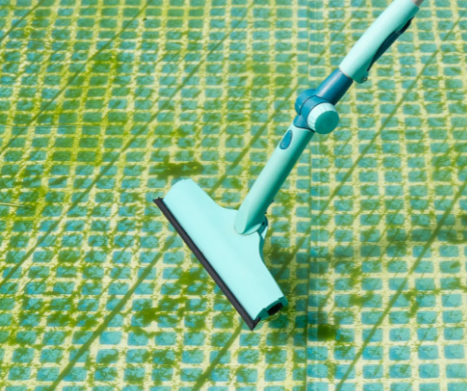 traitement contre les algues roses piscine